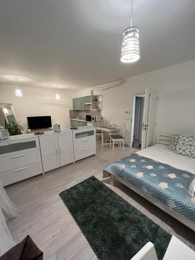 Free Parking In Garage Karolina Plazza, New Cosy Studio With All You Need 프라하 외부 사진
